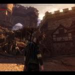The Witcher 2 en images