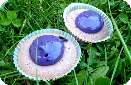 Cupcakes_myrtilles_2