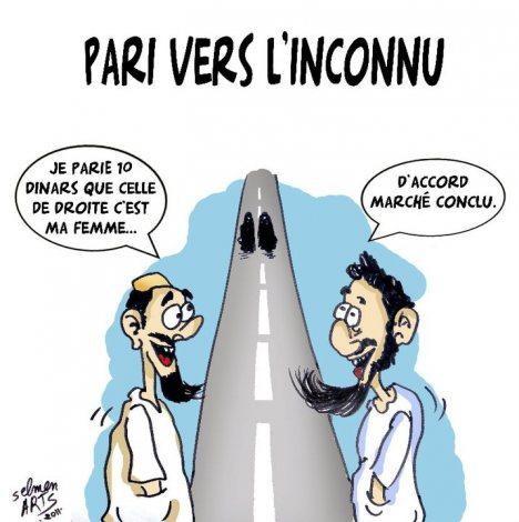 Les nouveaux rois du dessins de presse