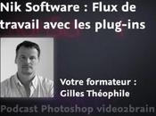 Flux travail avec plug-ins Software