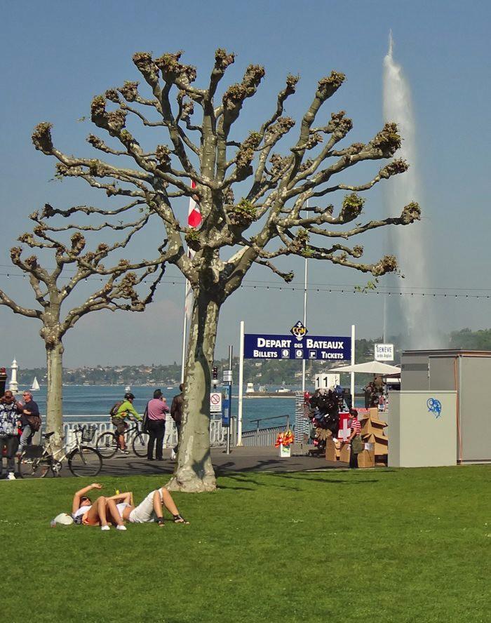 Sans titre-ssssss1111.jpg