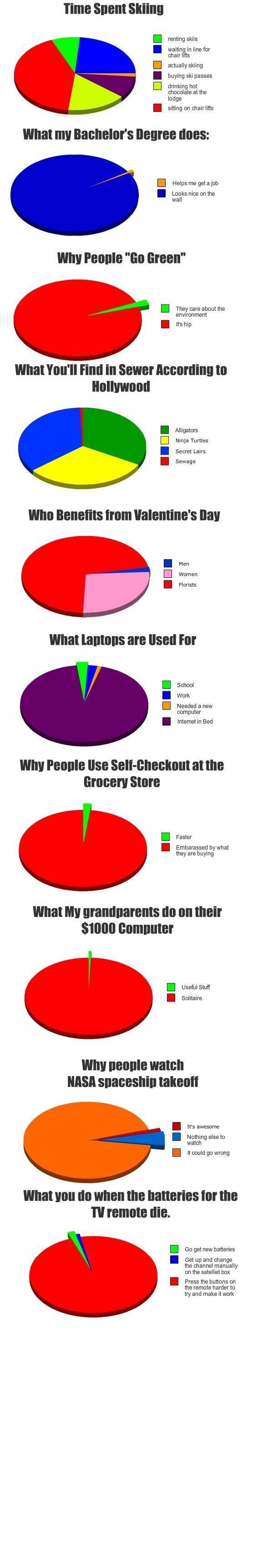 statistiques camembert