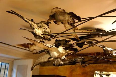 Image and video hosting by TinyPic