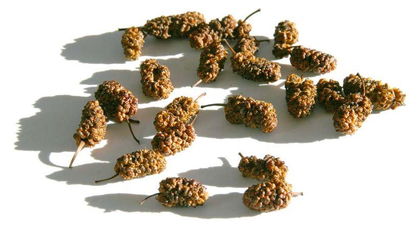 Dried mulberries mures séches