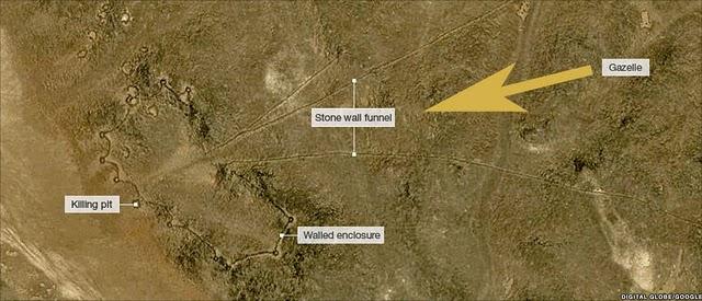 Des structures en entonnoir pour abattre les gazelles en masse il y a 6000 ans
