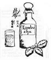 Kombucha, boisson miracle...comme toute lactofermentation