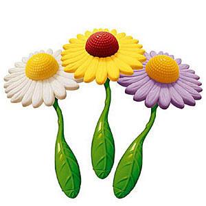 Pour Saint-Valentin, offrez fleurs!