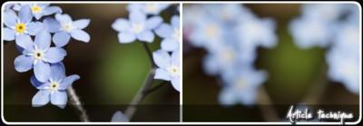 Technique : un problème de front/back focus ?