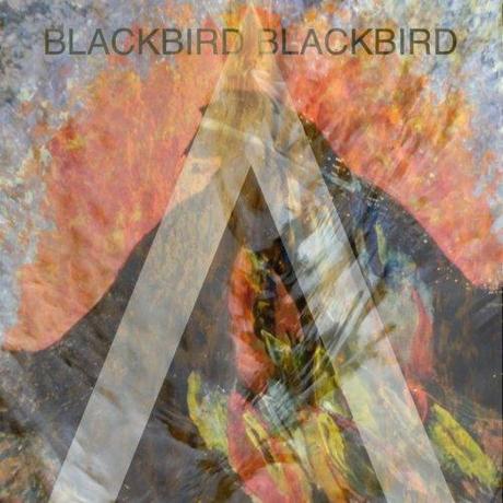 Blackbird Blackbird: Overboard - MP3
Blackbird Blackbird vient...