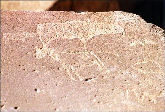 Gravures rupestres de Twyfelfontein en Namibie