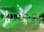 Hommage Edward Rusha