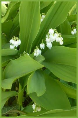 Parce ce que c'est le temps des  vacances, je m'acco...