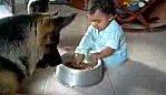 Bébé veut manger dans gamelle chien bébé éclate rire range chambre videos