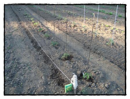 Allons à la motte, 17 avril 2011