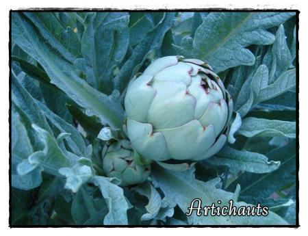 Allons à la motte, 17 avril 2011