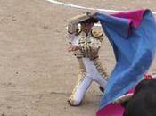 Arles tomasito matador blesse juli gracie