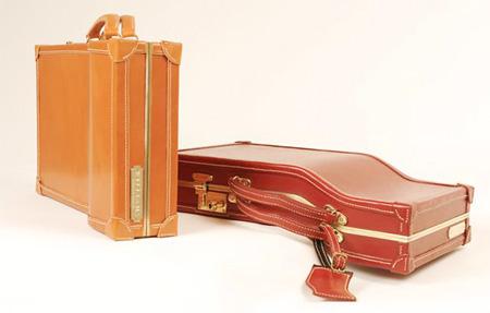 Les valises fantasques de Sarah Jane Williams - 2