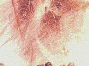 Aujourd'hui c'est Saint Georges (saint Patron)