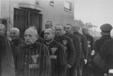 Journée du souvenir / Déportation des homosexuels : retour sur un génocide Journée du souvenir / Déportation des homosexuels : retour sur un génocide