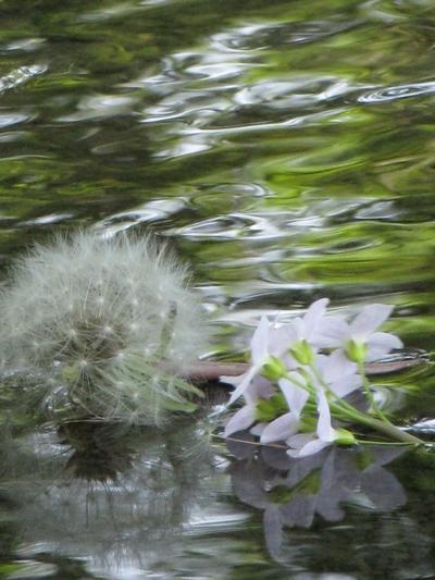 projet 52 – 16-52 projet 52 – 16-52