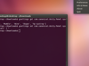 Ubuntu 11.04 Retrouver applications dans barre notification