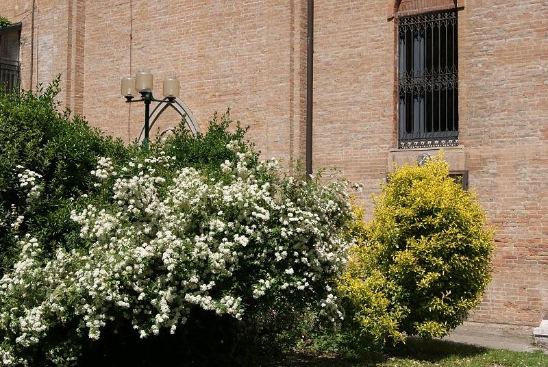 Primavera al parco Savorgnan