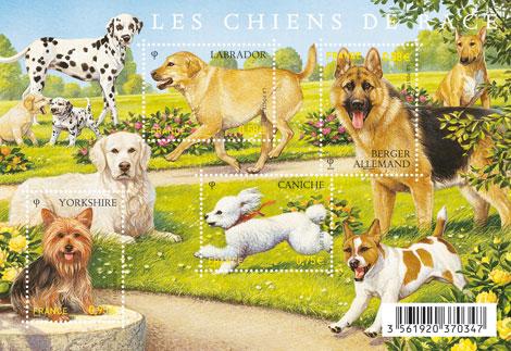 timbres chiens