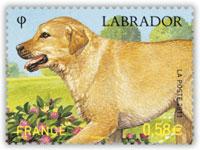 timbres chiens