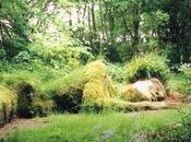 Heligan, jardins perdus Cornouailles