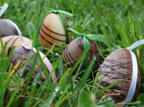 chasse-oeufs-paques.jpg