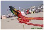 Berck.Cerfvolant.022