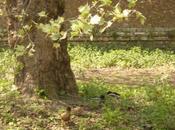 Pâques 2011 bois Deûle