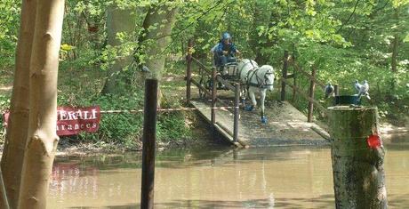 A un saut d'cheval de la maison (photos) : attention, ça mouille ! chev7