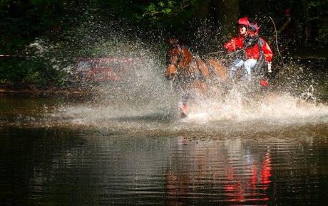 A un saut d'cheval de la maison (photos) : attention, ça mouille ! chev8