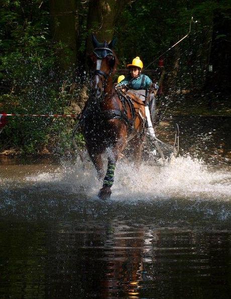 A un saut d'cheval de la maison (photos) : attention, ça mouille ! chev14