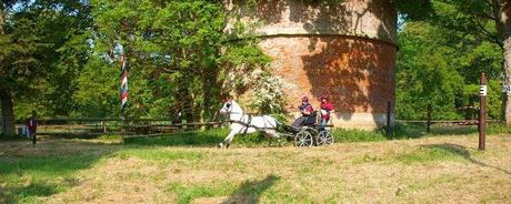 A un saut d'cheval de la maison (photos) : attention, ça mouille ! chev4