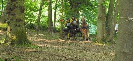 A un saut d'cheval de la maison (photos) : attention, ça mouille ! chev6