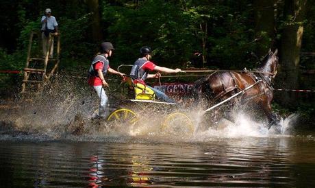 A un saut d'cheval de la maison (photos) : attention, ça mouille ! chev12