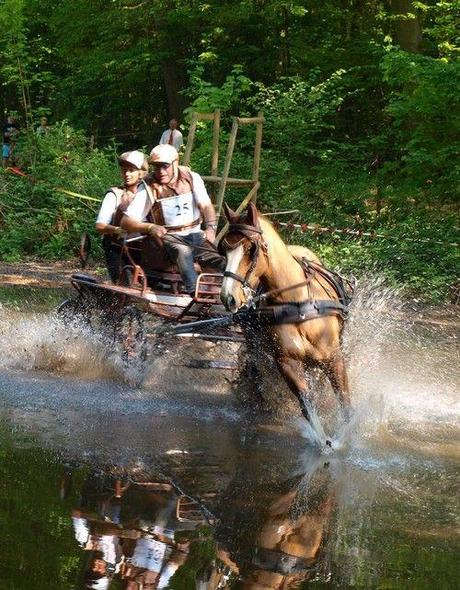 A un saut d'cheval de la maison (photos) : attention, ça mouille ! chev10