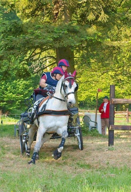 A un saut d'cheval de la maison (photos) : attention, ça mouille ! chev5