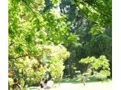 Comment choisir double flux