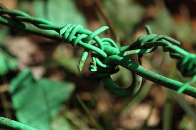 Derrière chez moi (2)