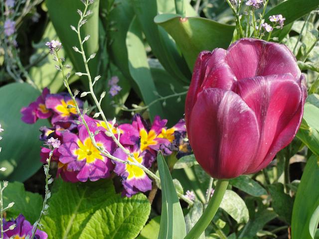 Un week-end de Pâques haut en couleur