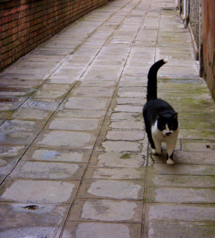 DUE E MEZZO ...ON Y VA !!!