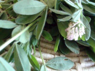 Une semaine de vacances sur le littoral