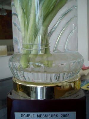 Une semaine de vacances sur le littoral