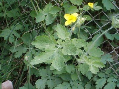 Une semaine de vacances sur le littoral