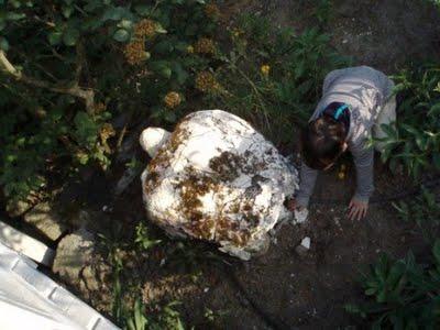 Une semaine de vacances sur le littoral