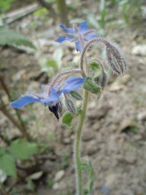 Une semaine de vacances sur le littoral