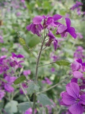 Une semaine de vacances sur le littoral